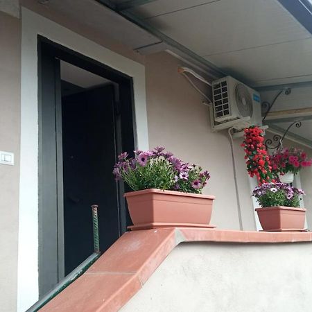 Willa A Casa Di Nonna Anna Ercolano Zewnętrze zdjęcie